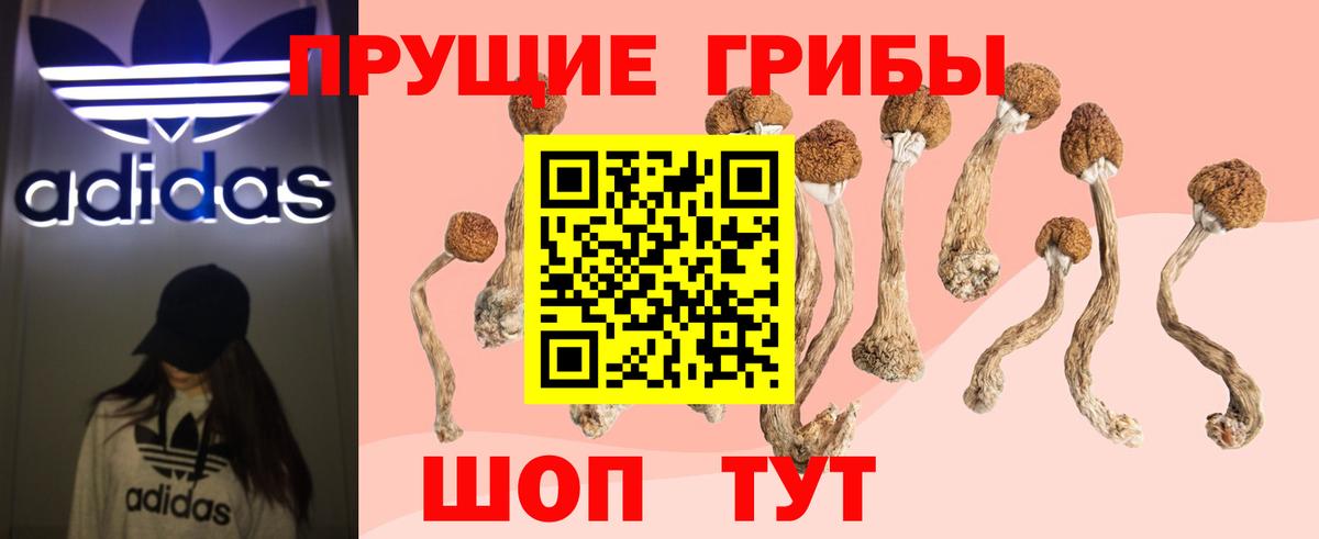 Псилоцибиновые грибы прущие грибы Клин