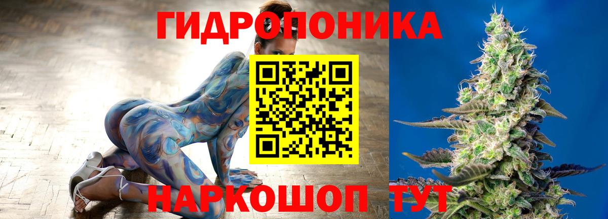 Клин  Бошки марихуана THC 21%  Канабис марихуана  Марихуана план  Канабис THC 21%  Вход с VPN 